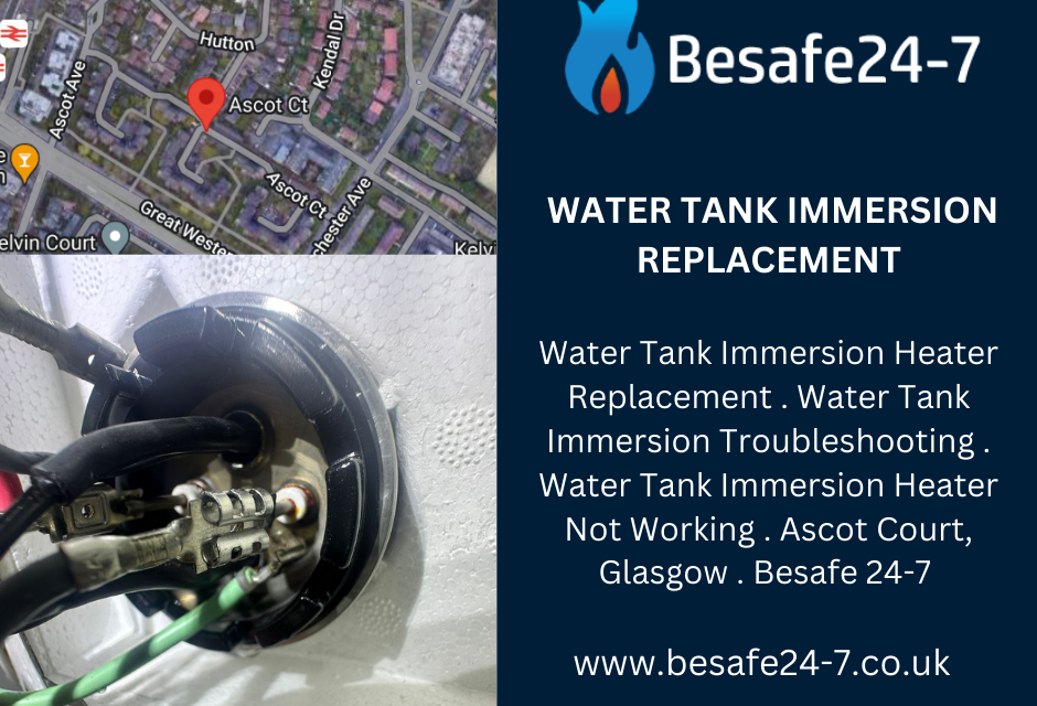 Need expert help with tank immersion heater replacement?