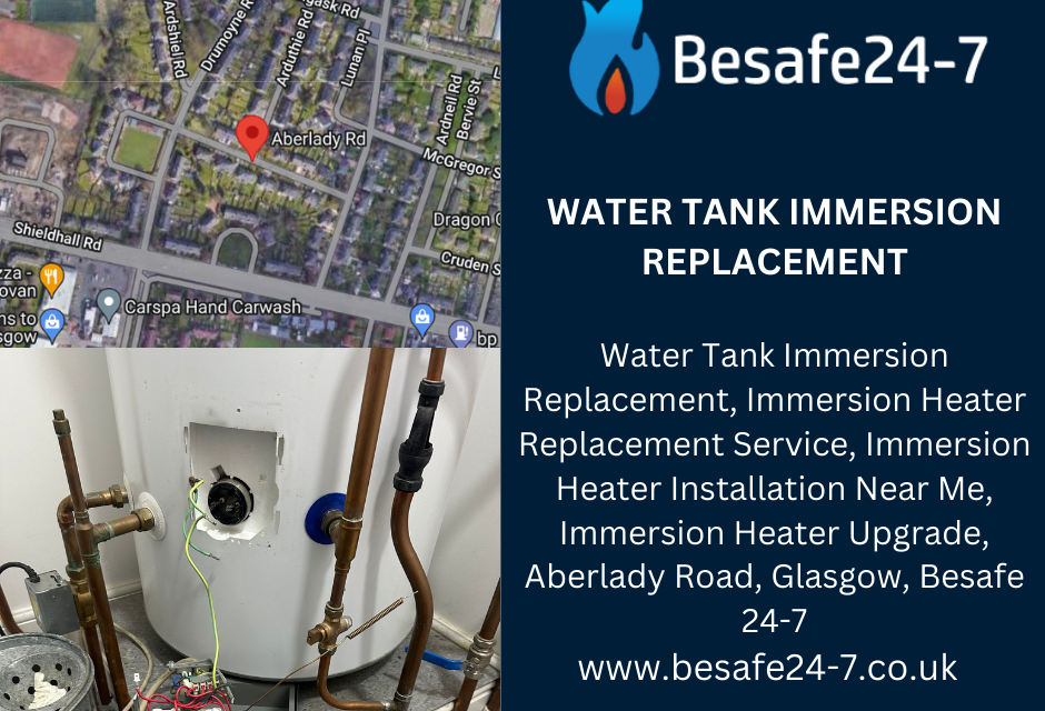 Do you need expert water tank immersion replacement services